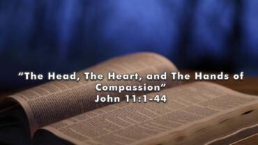 “The Head, The Heart, and The Hands of Compassion”